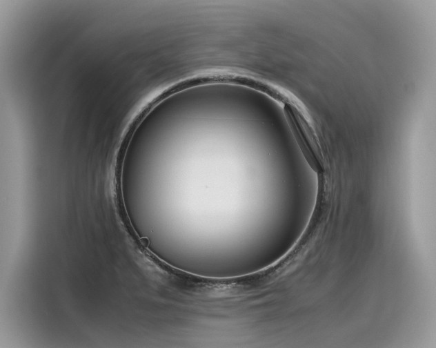 X0000116271279200911301206