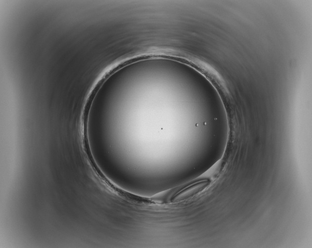 X0000116271280200911301206