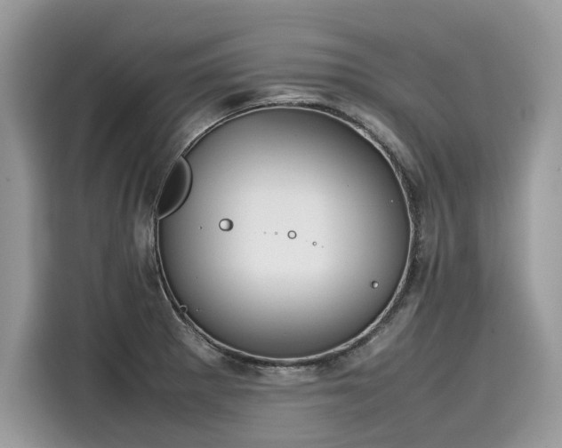 X0000116271281200911301206