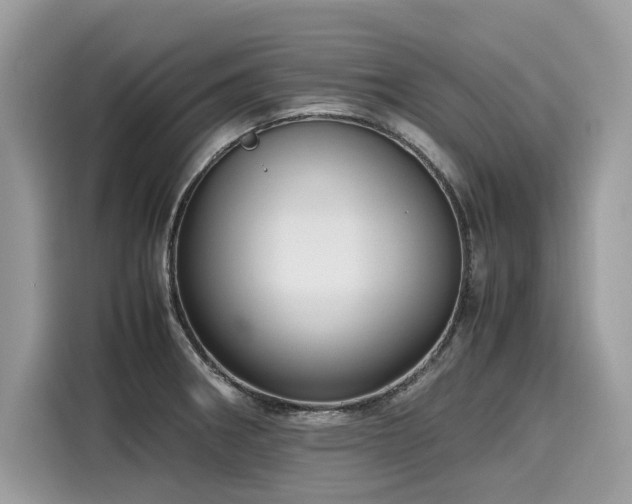 X0000116271282200911301206