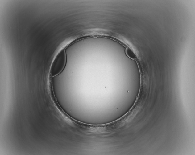 X0000116271285200911301206