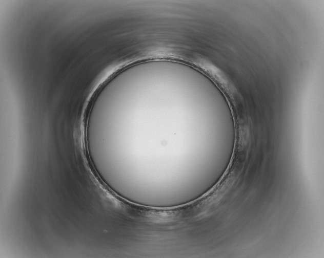 X0000116271286200911301206