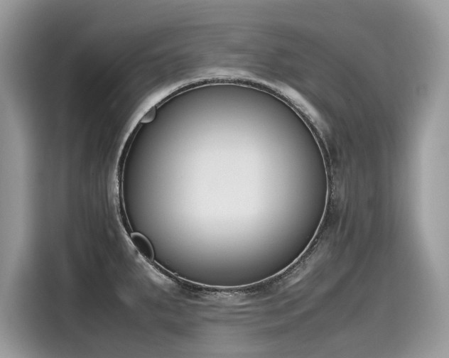 X0000116271287200911301206