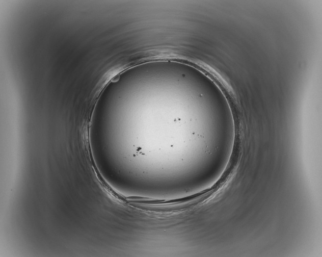 X0000116271289200911301206
