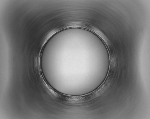 X0000116271290200911301206