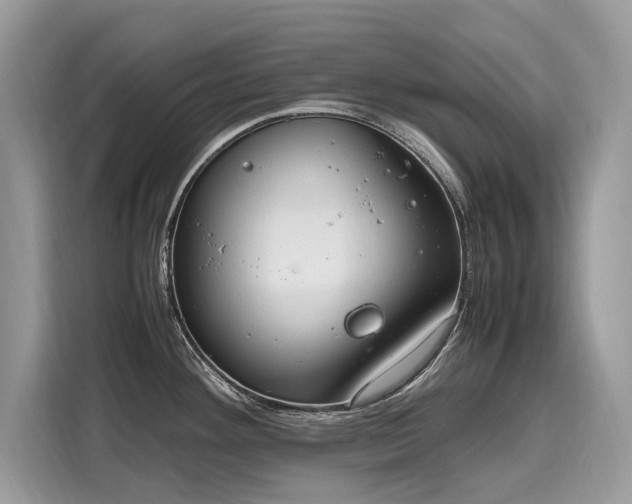 X0000116271292200911301206