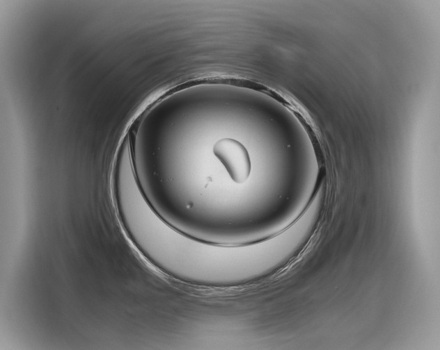 X0000116271293200911301206