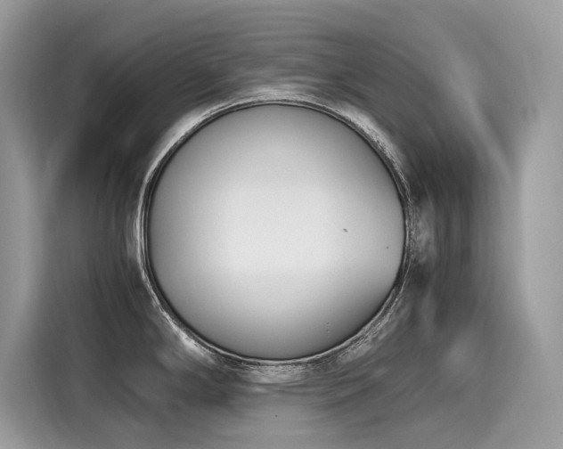 X0000116271294200911301206