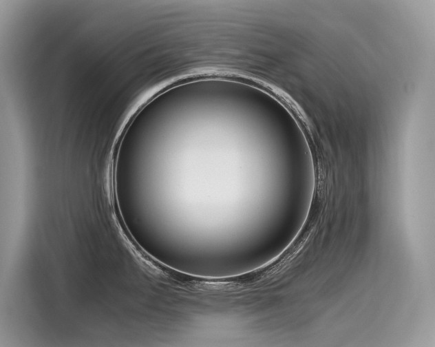 X0000116271295200911301206