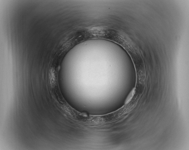 X0000116271298200911301205