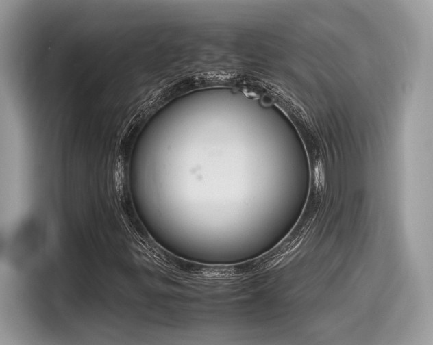 X0000116271299200911301205