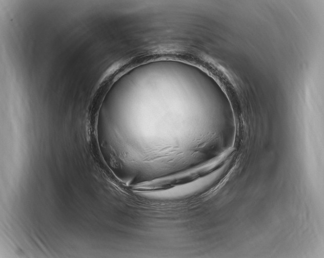 X0000116271306200911301205