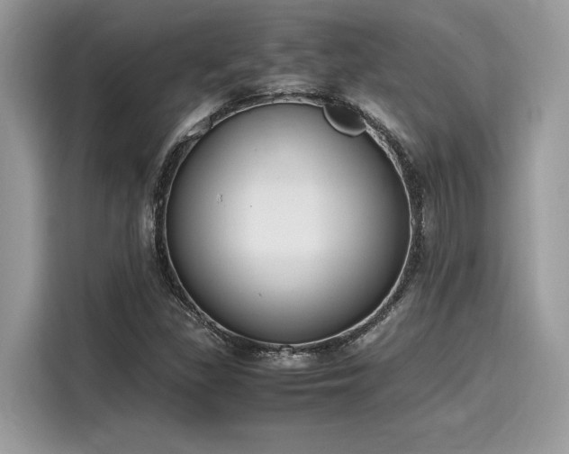X0000116271309200911301205