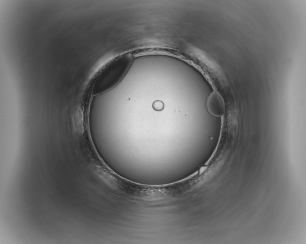 X0000116271310200911301205