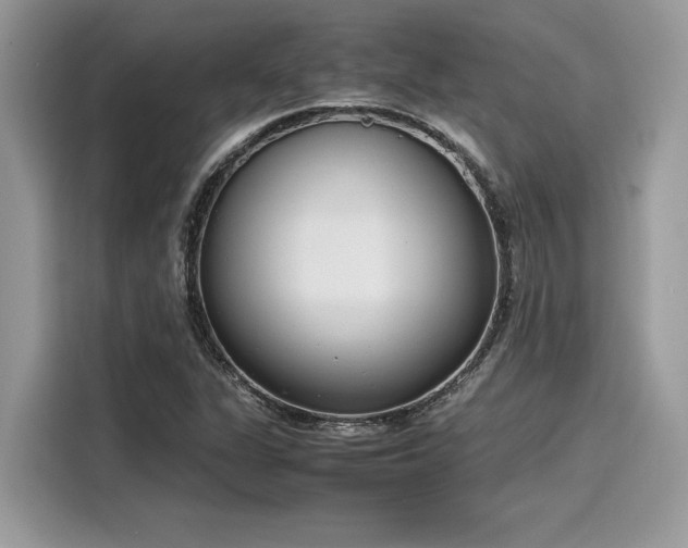 X0000116271311200911301205