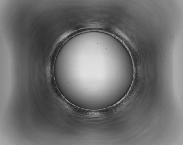 X0000116271315200911301205