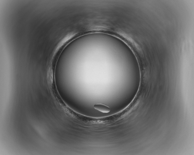 X0000116271317200911301205