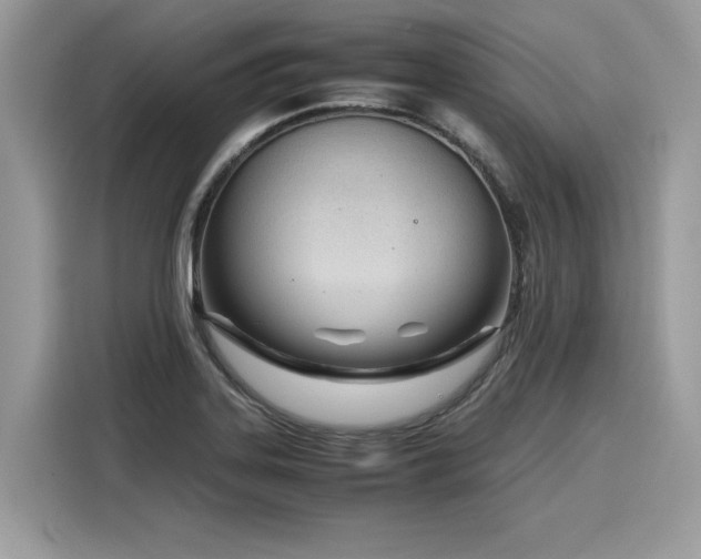 X0000116271323200911301205