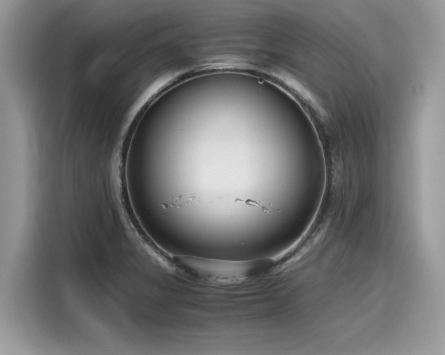 X0000116271325200911301205