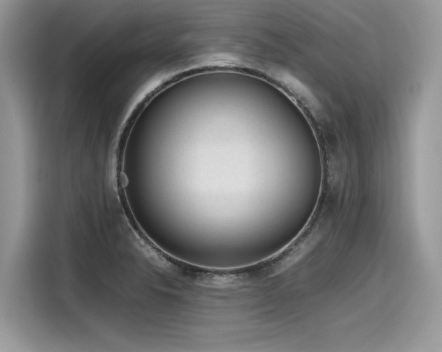 X0000116271326200911301205