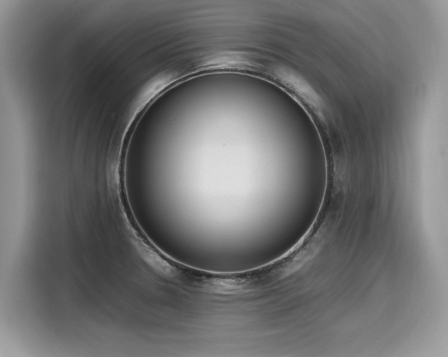 X0000116271330200911301205