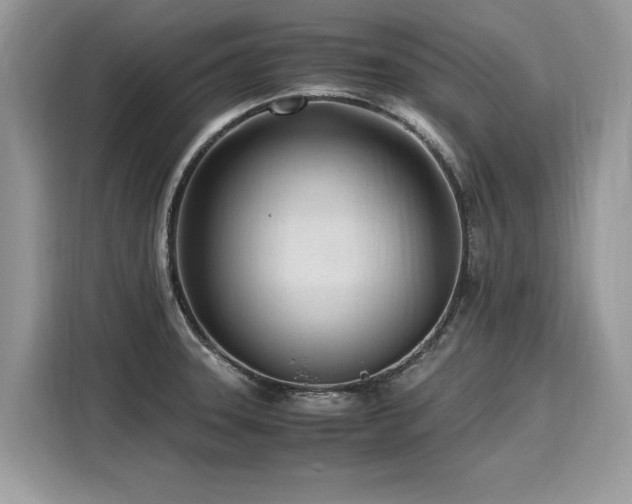 X0000116271331200911301205