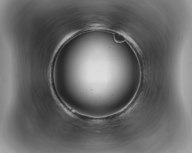 X0000116271333200911301205