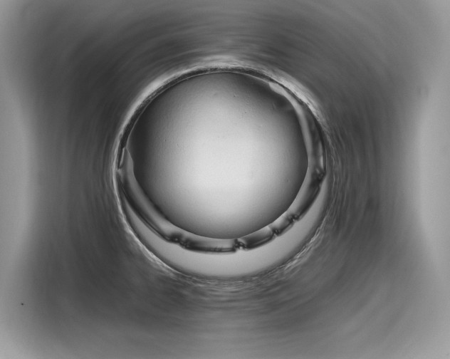X0000116271334200911301205