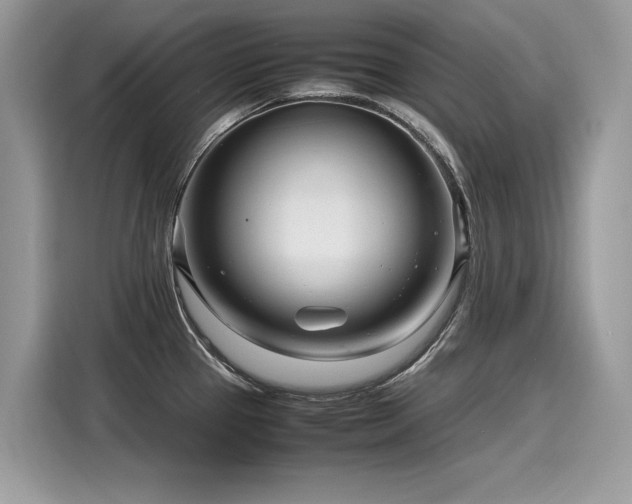 X0000116271337200911301205
