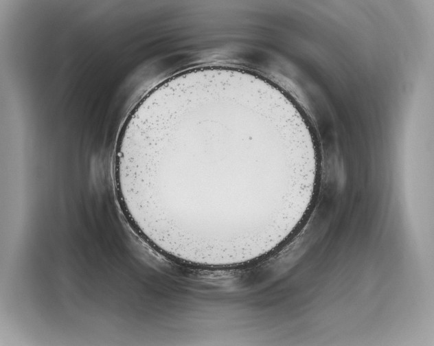 X0000116271338200911301206