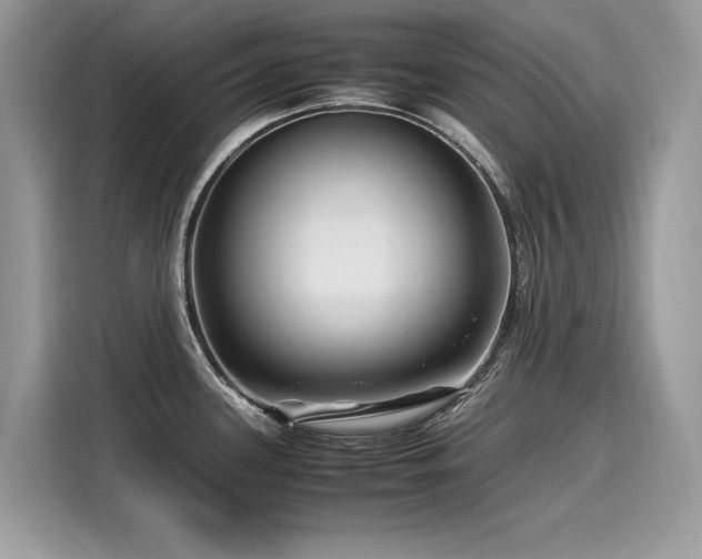 X0000116271339200911301206