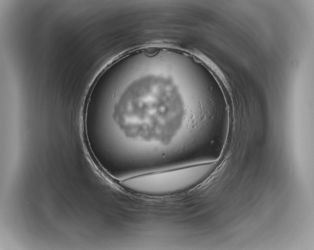 X0000116271341200911301206