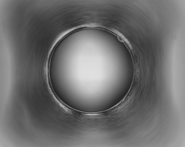 X0000116271343200911301206