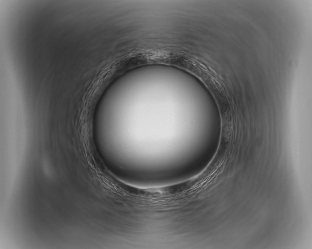 X0000116271345200911301205