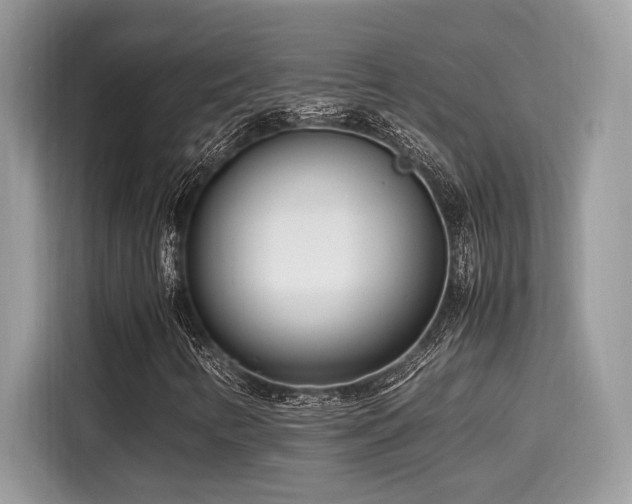 X0000116271346200911301205