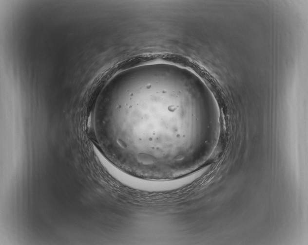 X0000116271351200911301205