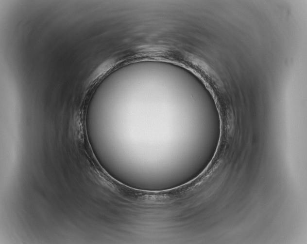 X0000116271354200911301205
