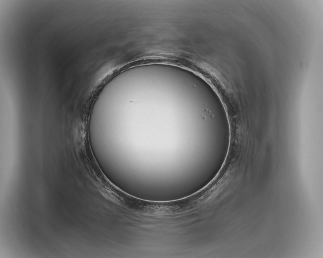 X0000116271355200911301205
