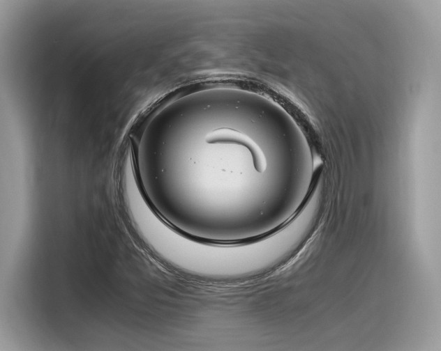 X0000116271357200911301205