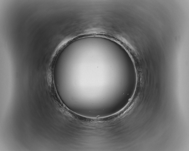 X0000116271358200911301205