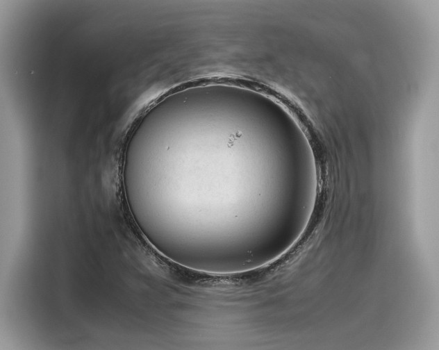 X0000116271359200911301205