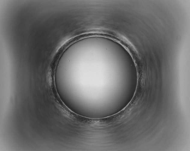X0000116271360200911301205