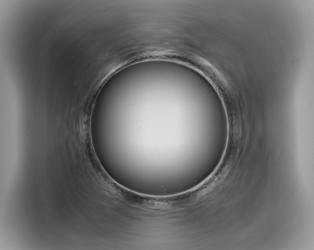X0000116271361200911301205
