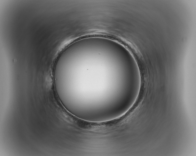 X0000116271363200911301205