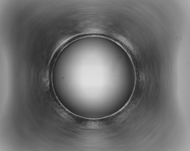 X0000116271364200911301205