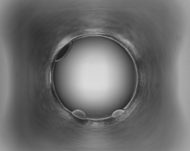X0000116271365200911301205