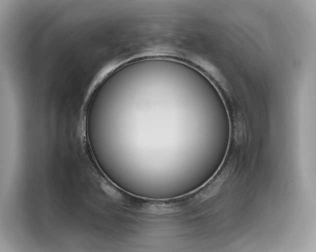 X0000116271366200911301205