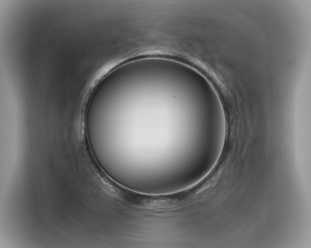 X0000116271367200911301205