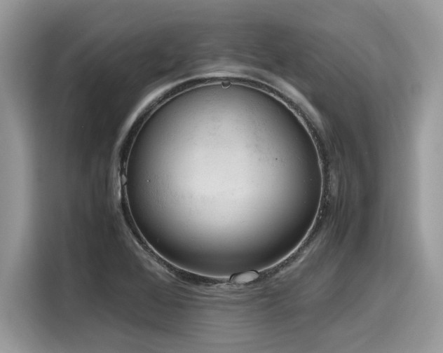 X0000116271368200911301205