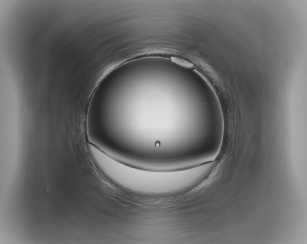 X0000116271369200911301205